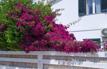 Piero's Apartment Calasetta - Foto 5