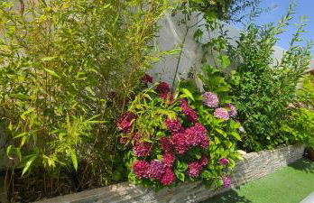 Magnifique villa à 15mn des plages - Foto 11