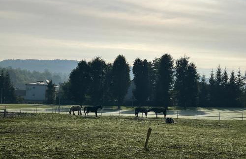 Gorczańska Przystań - Foto 66