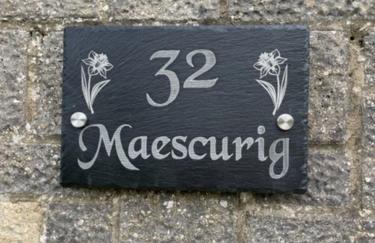 32 Maescurig - Foto 21