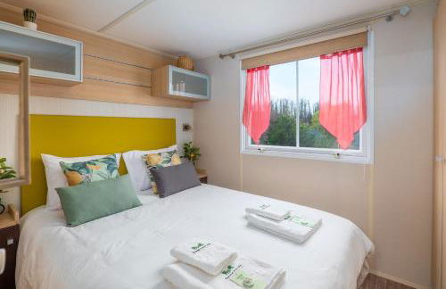 Glamping Frog Farm - Foto 16