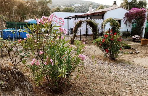 Chalet en entorno Natural de la Costa Brava - Foto 11