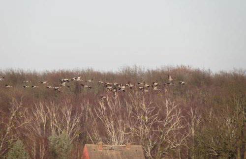 FeWo mit Balkon, Zimmermann - Foto 40