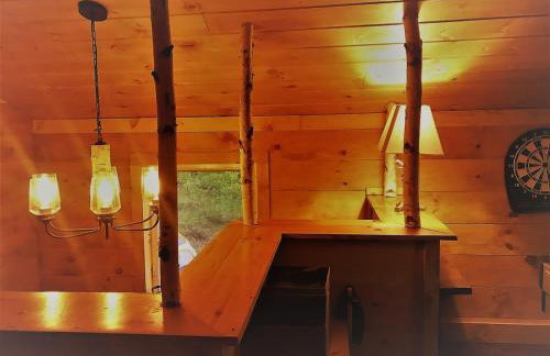 The Birches Cabin, at home in the woods! - Foto 5