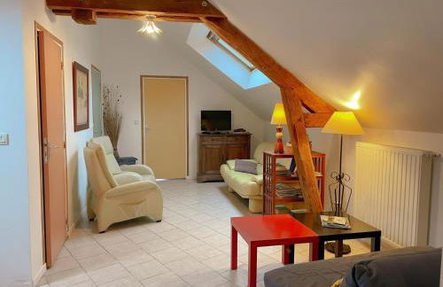 Gîte tout inclus près de Blois avec jardin, idéal familles, proche châteaux de la Loire - FR-1-491-430 - Foto 11