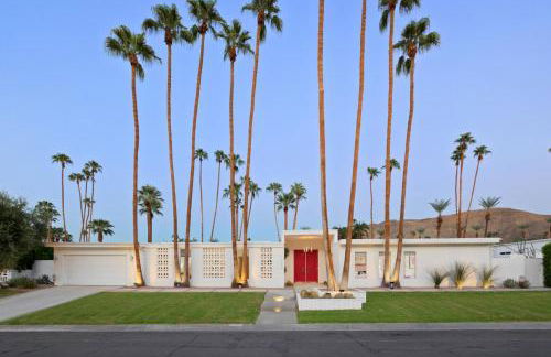 Pink Paloma - Foto 57