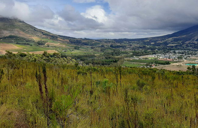 Senderismo por el valle de Banhoek + Visita a una bodega - Foto 2
