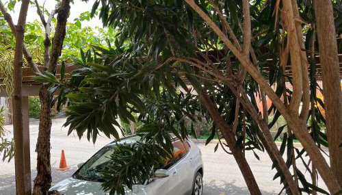 Pequeno Paraíso I - Foto 2