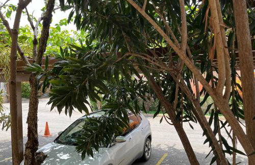 Pequeno Paraíso I - Foto 2