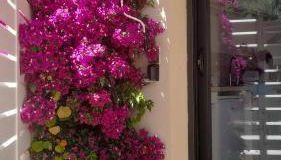 Studio logement entier calme neuf climatisé avec extérieur - Foto 2