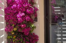 Studio logement entier calme neuf climatisé avec extérieur - Foto 2