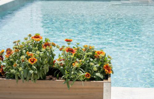 Casa Del Olivar - Foto 21