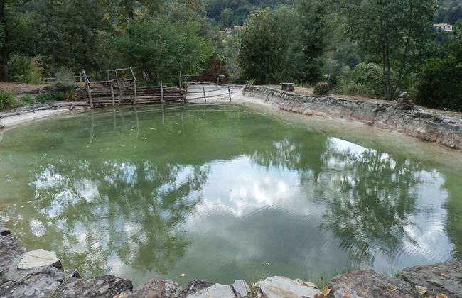 Tranquil Tuscan Retreat - Foto 28