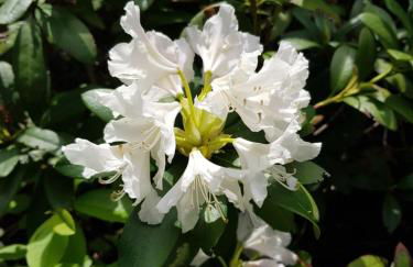 Hüttendorf für Euch alleine - geführter Yachtausflug nach Prieros inclusive! Nur 3 Minuten zum Badesee Fahrräder kostenlos vorhanden - Foto 20