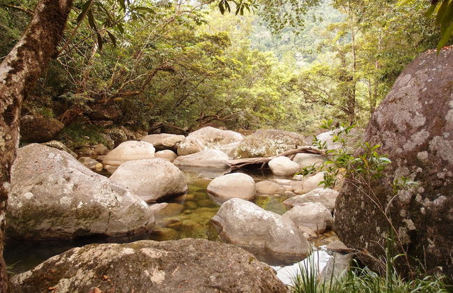 Coral Sea Villas - Foto 29