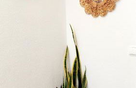 Esparto y sal - Foto 3