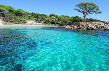 NOUVEL LOCATION d'un Bel appart T2 climatisé et meublé au RDCh avec piscine dans residence les Melody - Foto 1