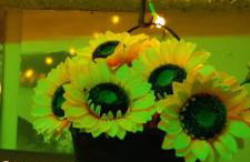 Casa Cristina - Vista Lago - Foto 48