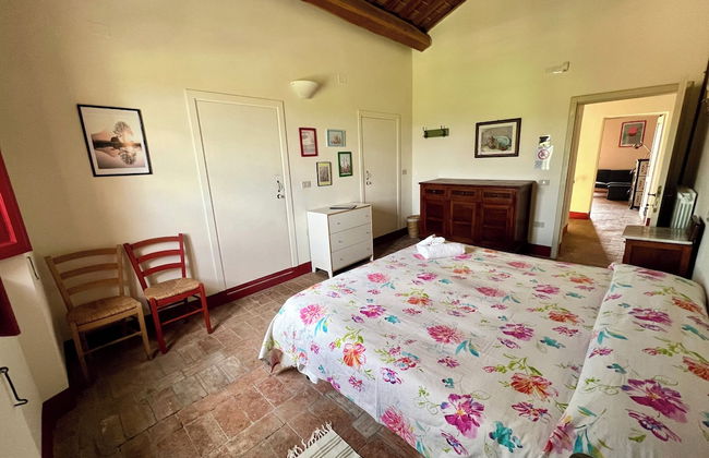 Fattoria Podere i Luoghi - Foto 15