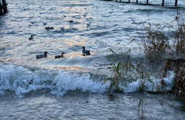 Am Brunnen - Foto 20