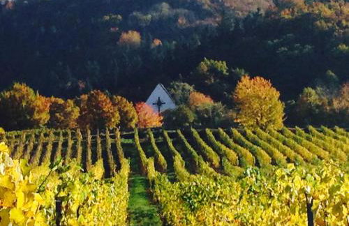 Ferienwohnung Wittker - Foto 35