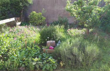 25 Rue Raymond Braillard - Foto 7