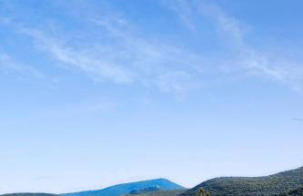 Ανέμη - Foto 12