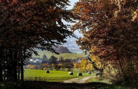 Ferienwohnung Alpaka Blick - Foto 42