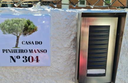 Pinheiro Manso - Foto 38