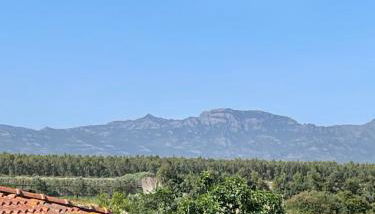 Su Tostobiu - Foto 2