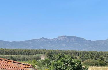 Su Tostobiu - Foto 2