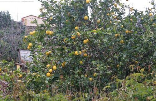 Appartement 3 pièces, jardin, garage - Photo 31