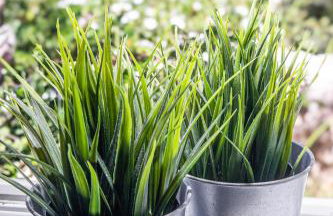 Villa PENELOPE - Foto 9