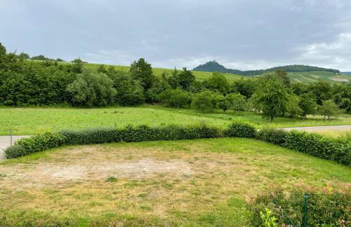 Ferienwohnung Reblandblick - Foto 17