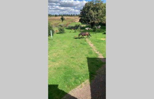 Ferienwohnung Schmidt - Foto 42