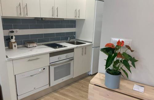 Ó Pé de San Bieito - Foto 12