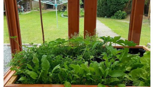 Holiday Apartment 2 House Marie - Foto 4, Other