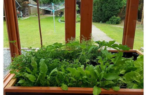 Holiday Apartment 2 House Marie - Foto 4