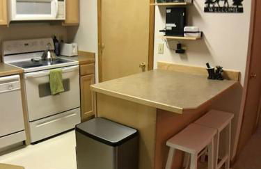 Cozy 2 BR Mountain View - walk to resort - Foto 20