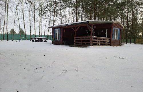 Leśny Zakątek Lipinki Bory Tucholskie - sauna - Foto 35