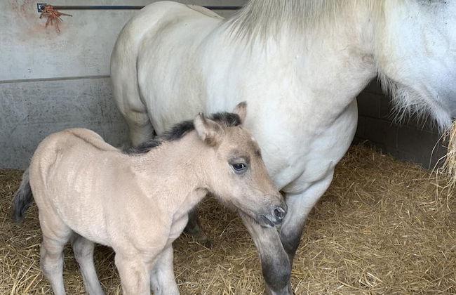 Remarkable 1-bed Apartment in Huntingdon - Foto 7