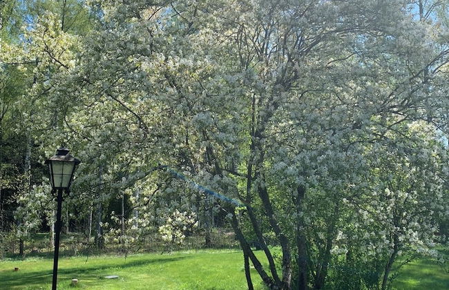 Charming Property With Private Pool - Foto 52