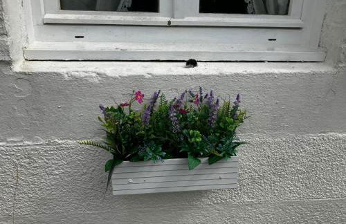 Gîte des Roses - Foto 13