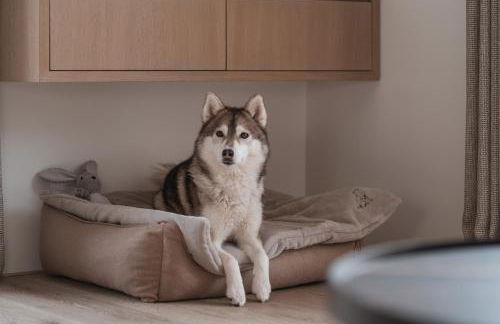 Egerner Chalet - Foto 27