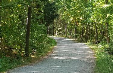 Morskie Opowieści - Foto 73