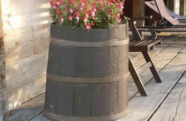 Ciche Podlasie - Foto 13