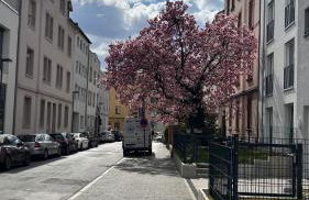 City Nest Offenbach - Foto 7