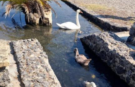 Venetton Garden House Corfu - Photo 47