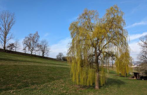 Schrauts Unwesen - Photo 46