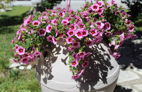 Fissas Rooms - Foto 60